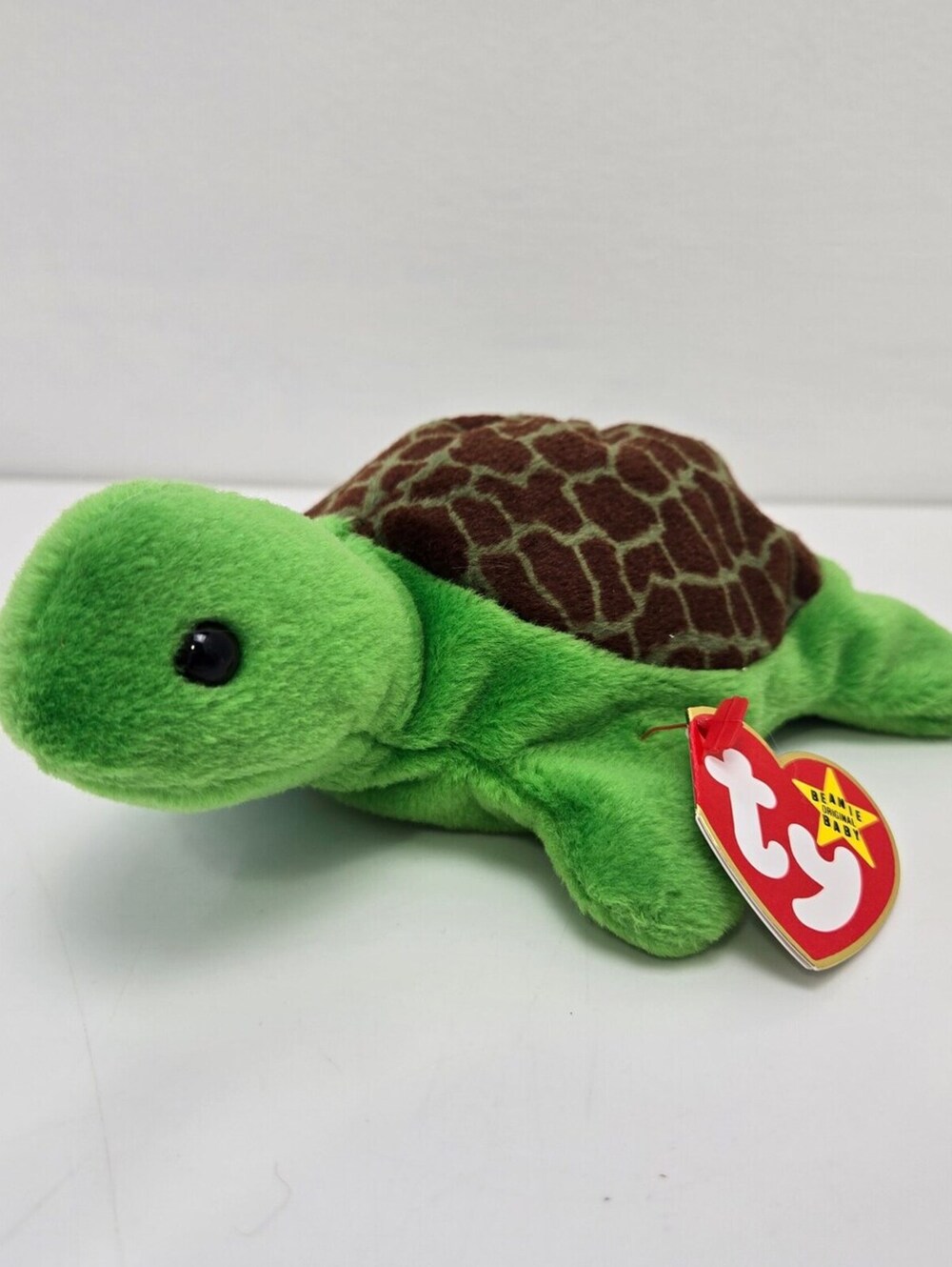 Ty Beanie Baby “Speedy” the Turtle Plush (6.5 inch)